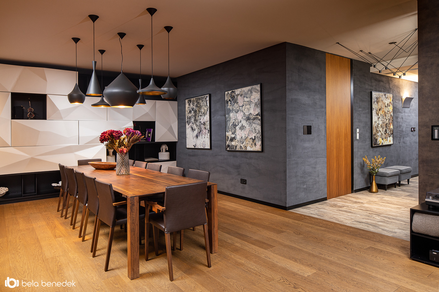 Stefan Vlad丨别墅建筑丨House X-41