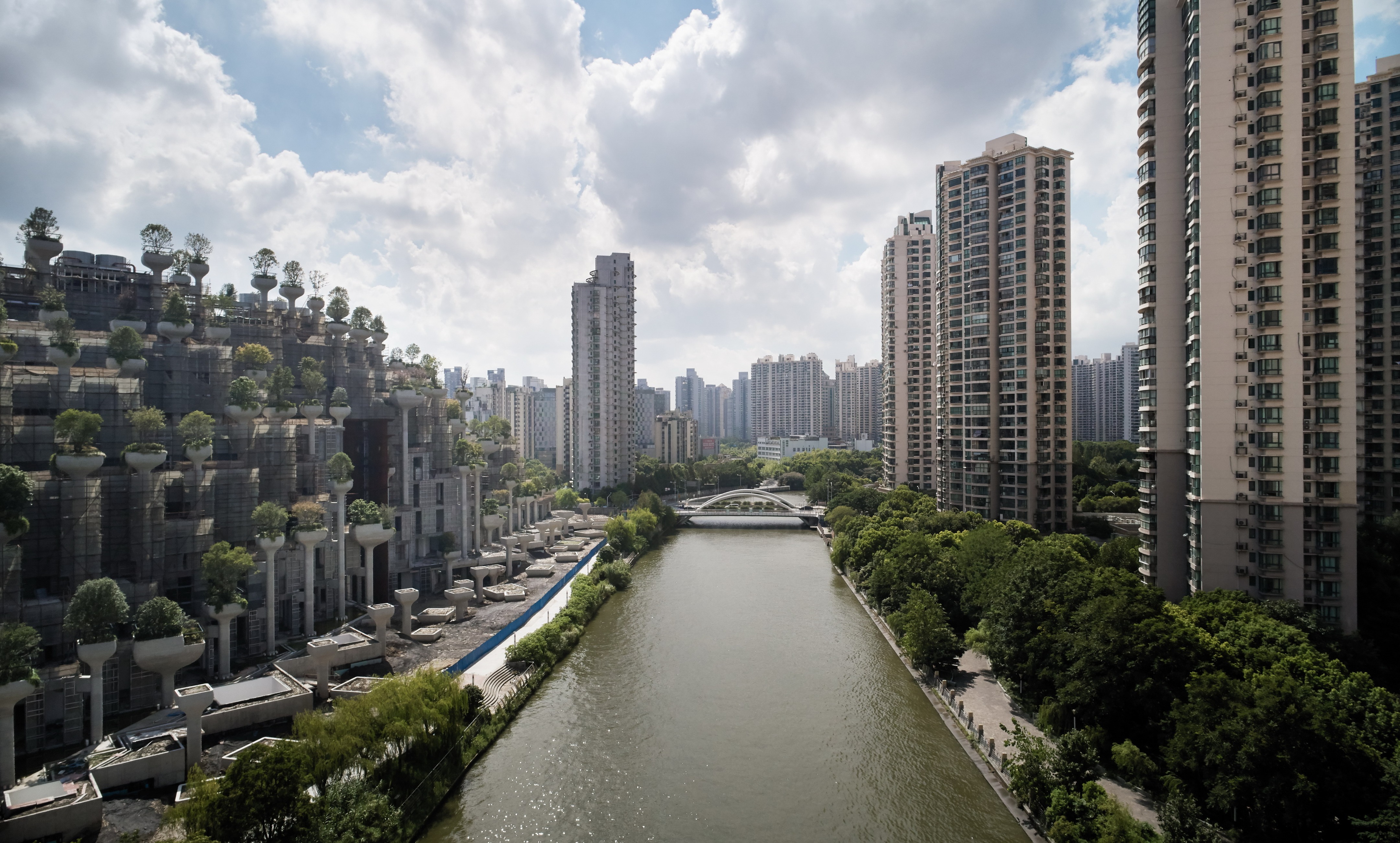 上海 1000 棵树丨中国上海丨Heatherwick Studio-6