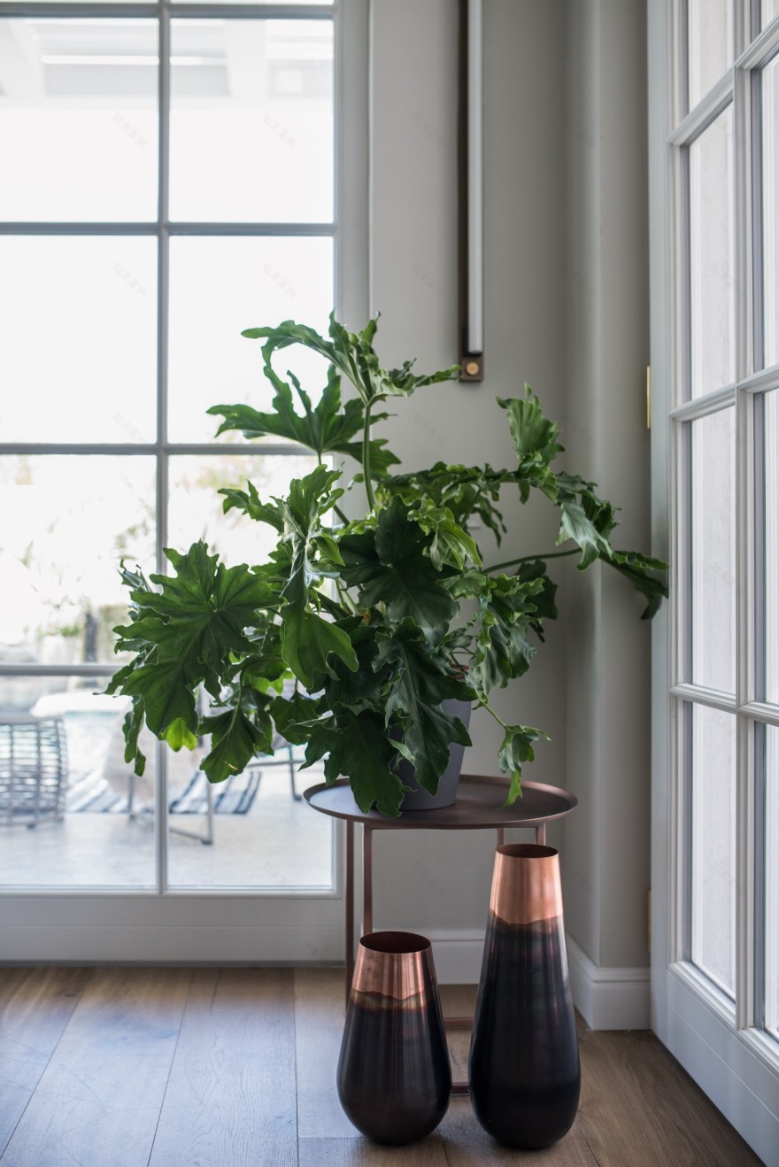 果园中的现代别墅 · L·N·O HOUSE-36