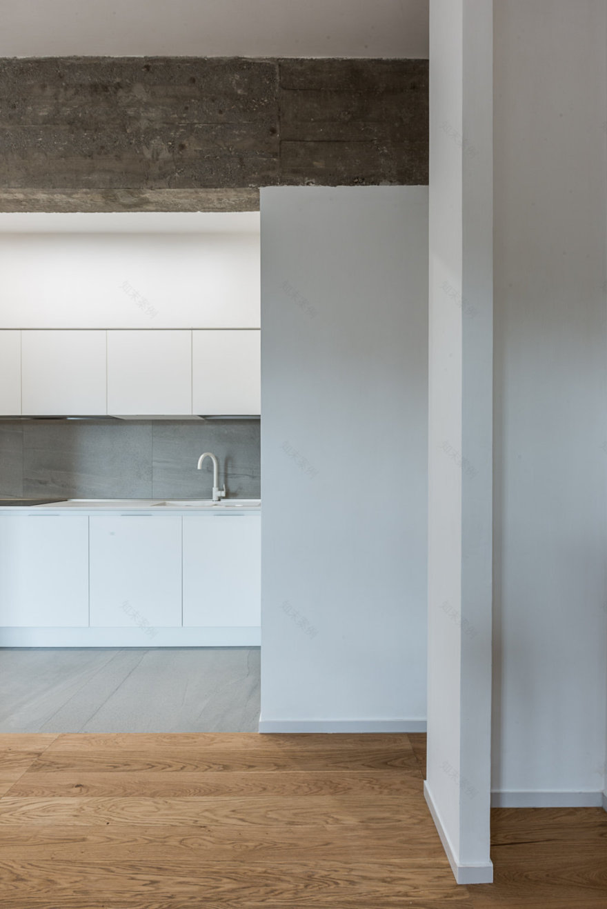 日常生活的真实之美——路易吉的加入-18