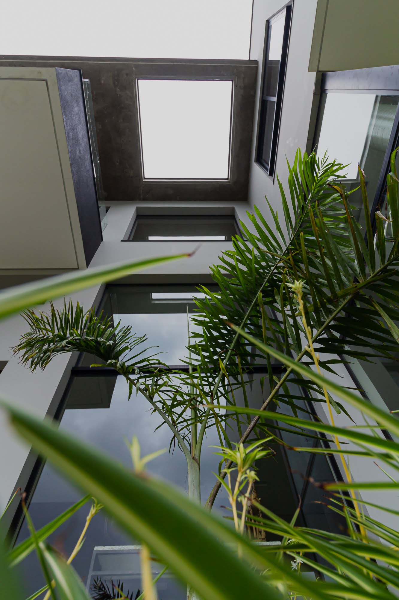 巴西现代主义风格别墅设计-2