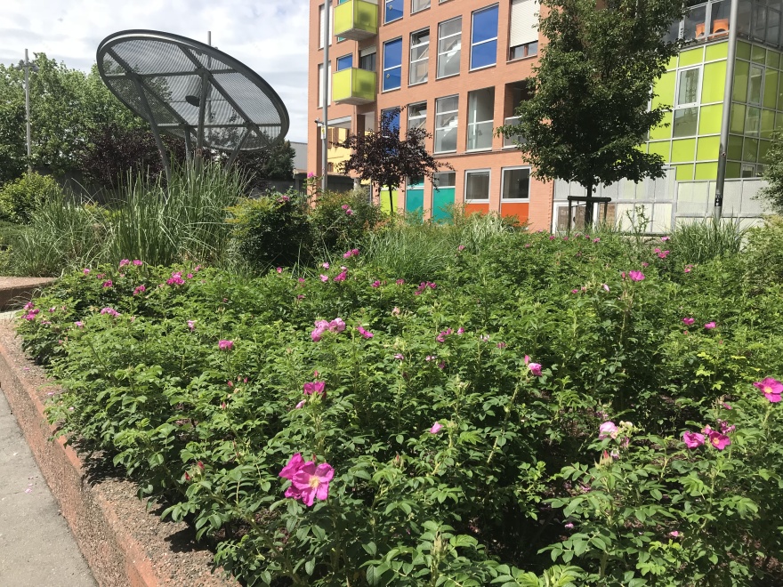 意大利面工厂花园-7