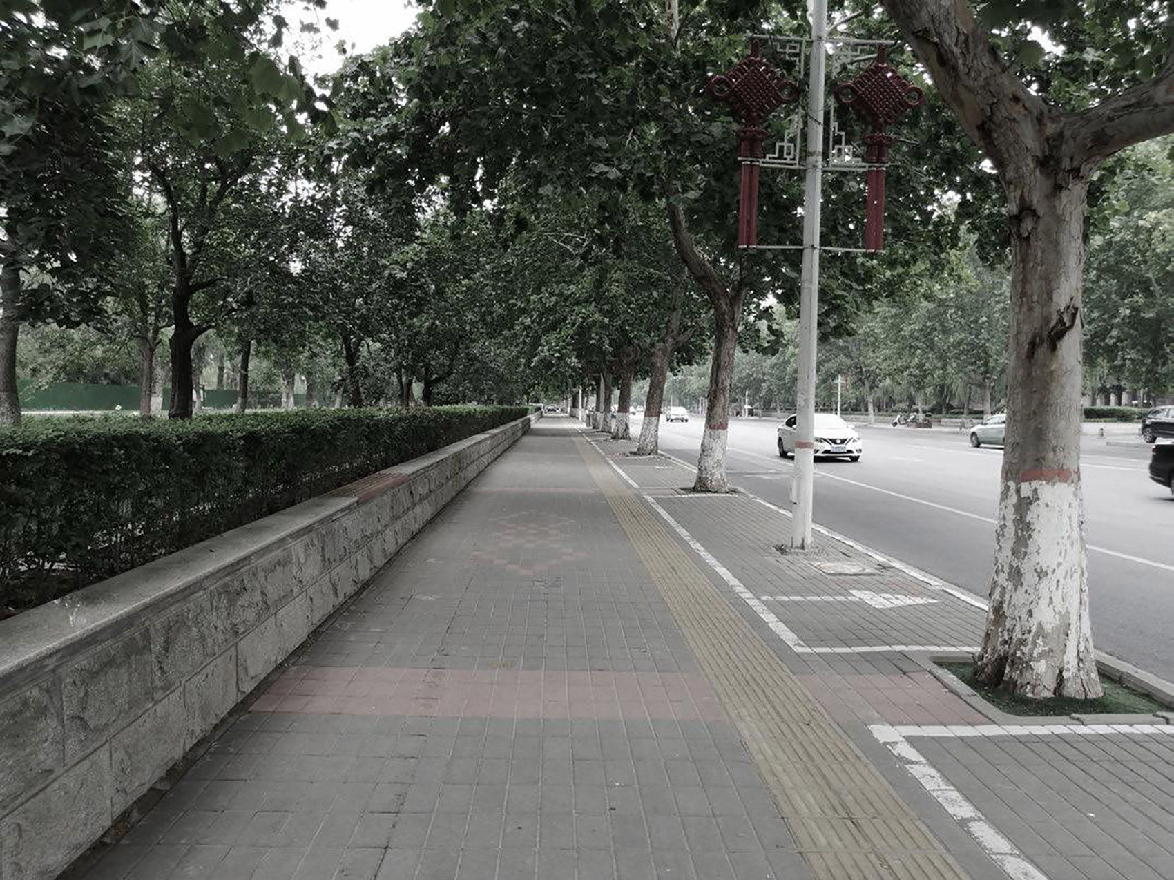 郑州古树苑公园一期景观提升，河南/老树的新生-105