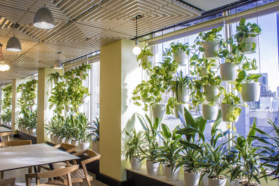 墨尔本 EquipSuper 办公室的绿色环保设计-4