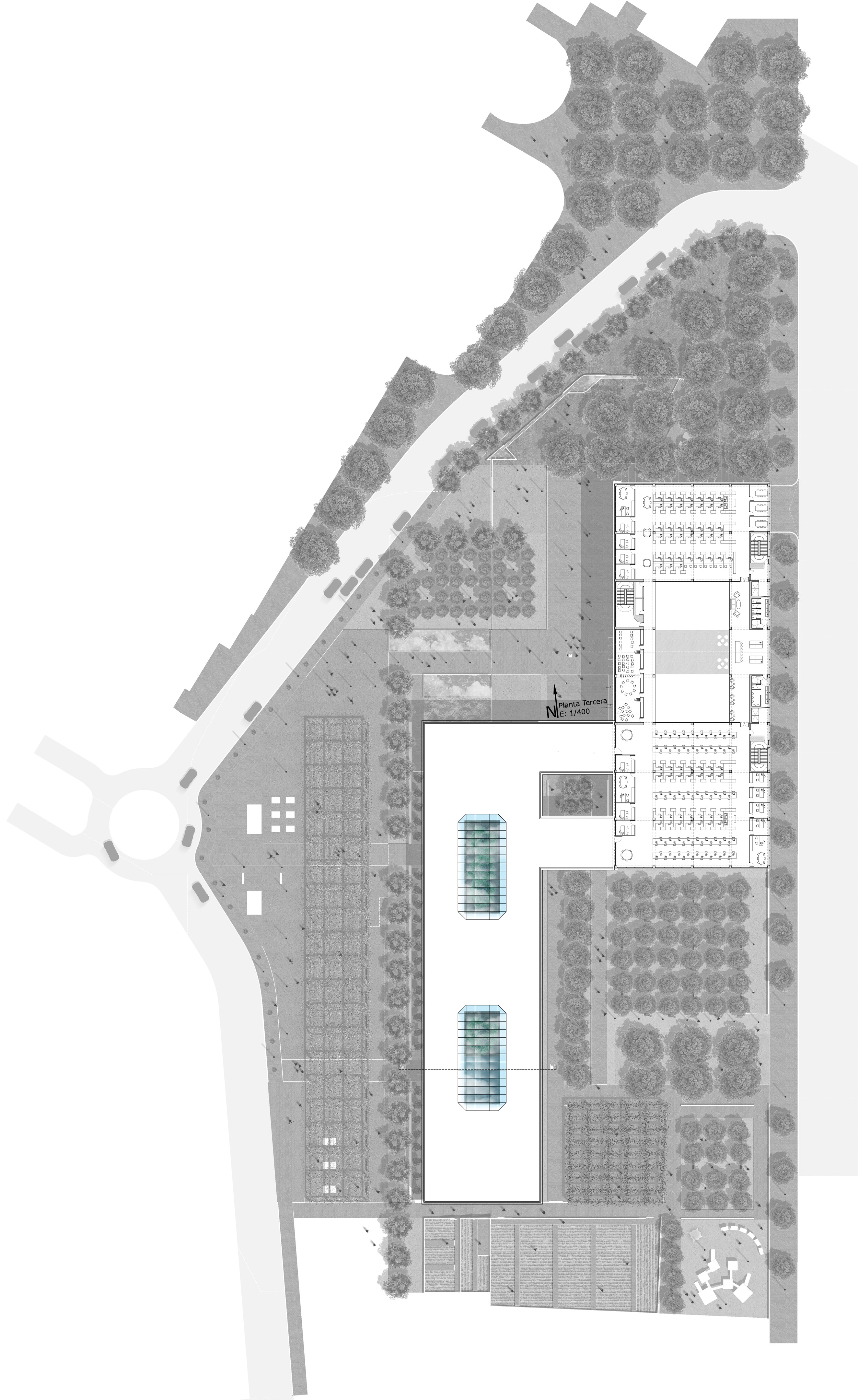 三庭院办公建筑 | 自然与城市的和谐交融-7