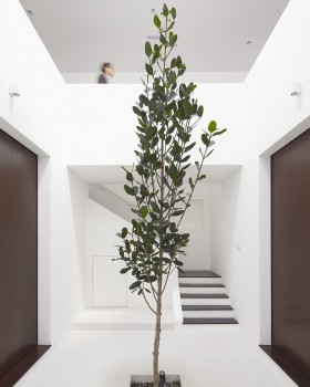 Fabian Tan Architects 的 Ittka House | 双层别墅设计翻转空间概念
