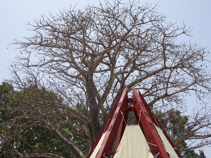 塞内加尔农村创新水井设计-1