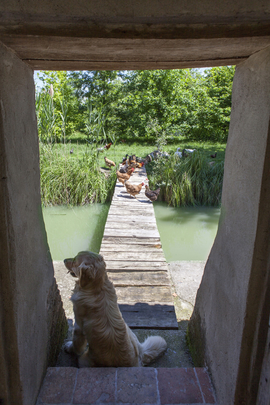 乡间别墅的现代复兴 | 古与新的完美融合-51