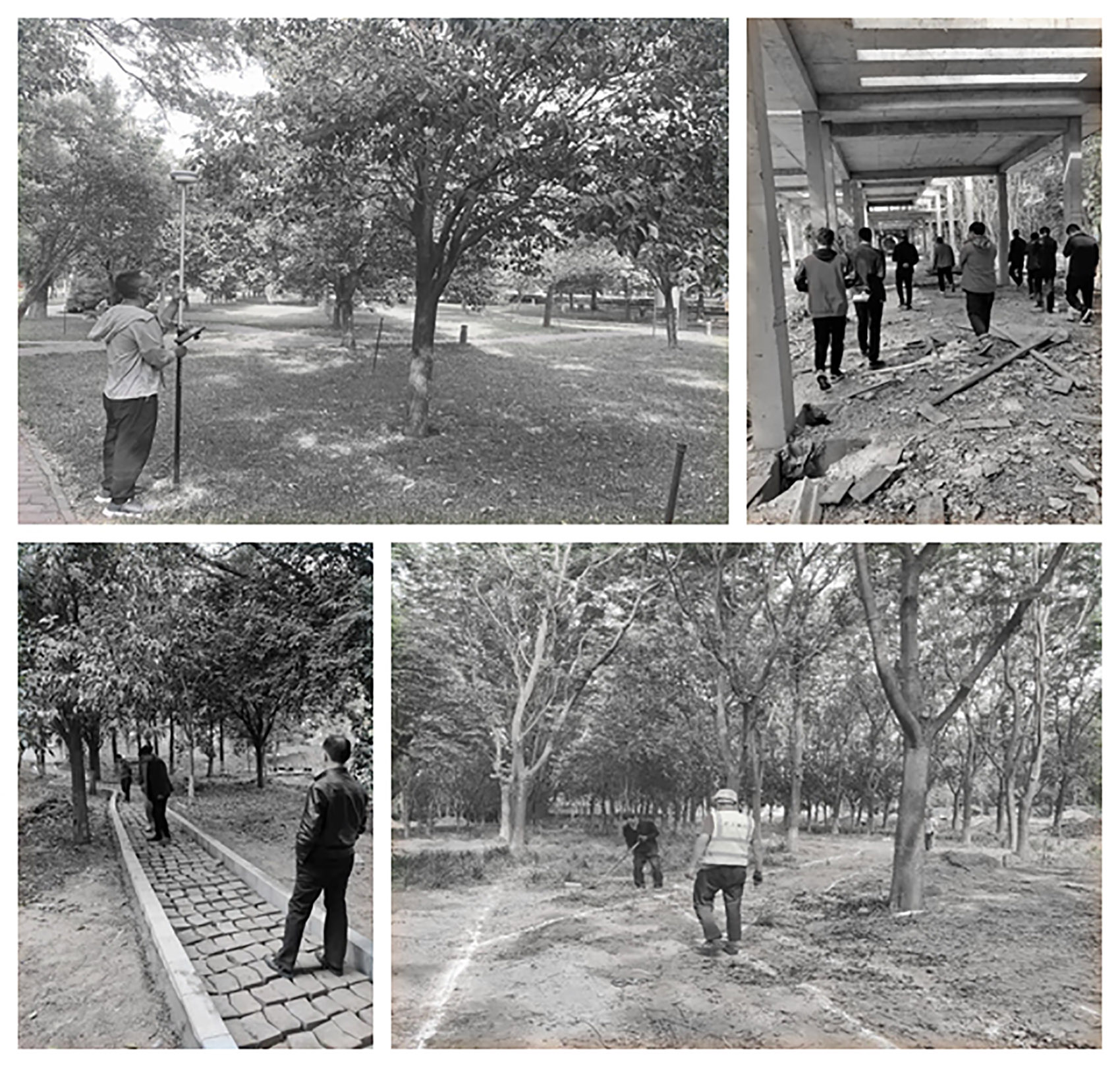 郑州古树苑公园一期景观提升，河南/老树的新生-109