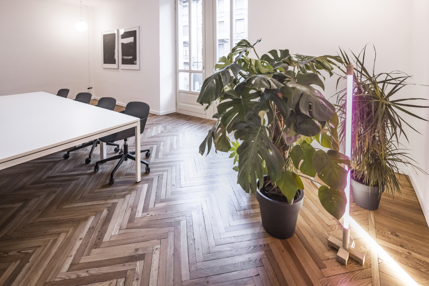 阿尔泰亚基金会运营总部项目-10