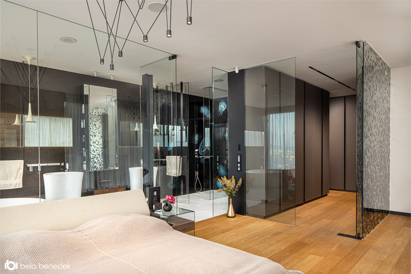 Stefan Vlad丨别墅建筑丨House X-4