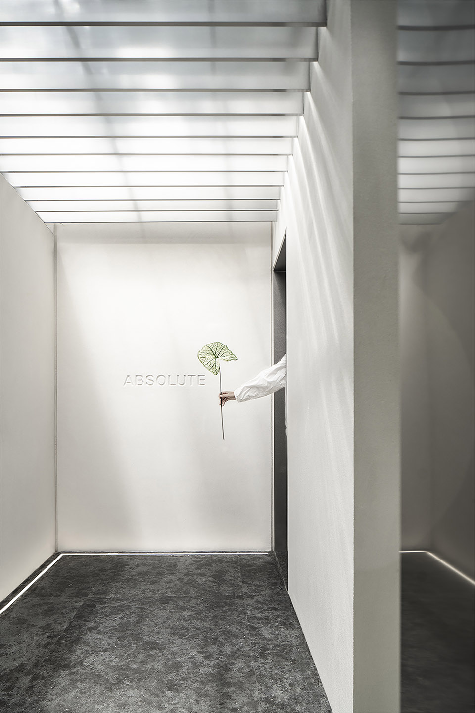 Absolute精品花艺店，上海/烘托花卉艺术的简约纯净空间-23