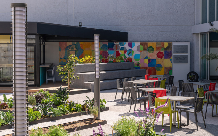 墨西哥环保校园农场设计-11