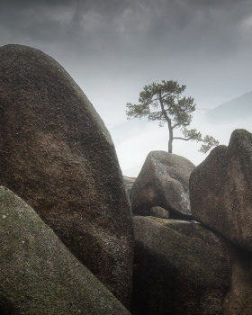Granite Kingdom