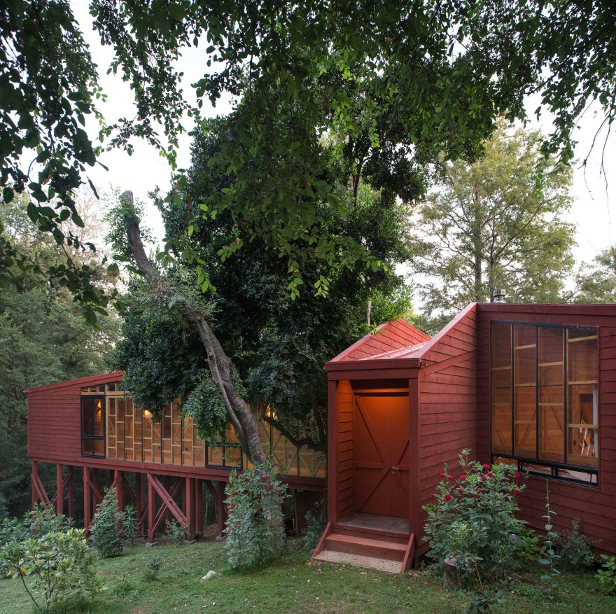 融入森林的日光别墅-16