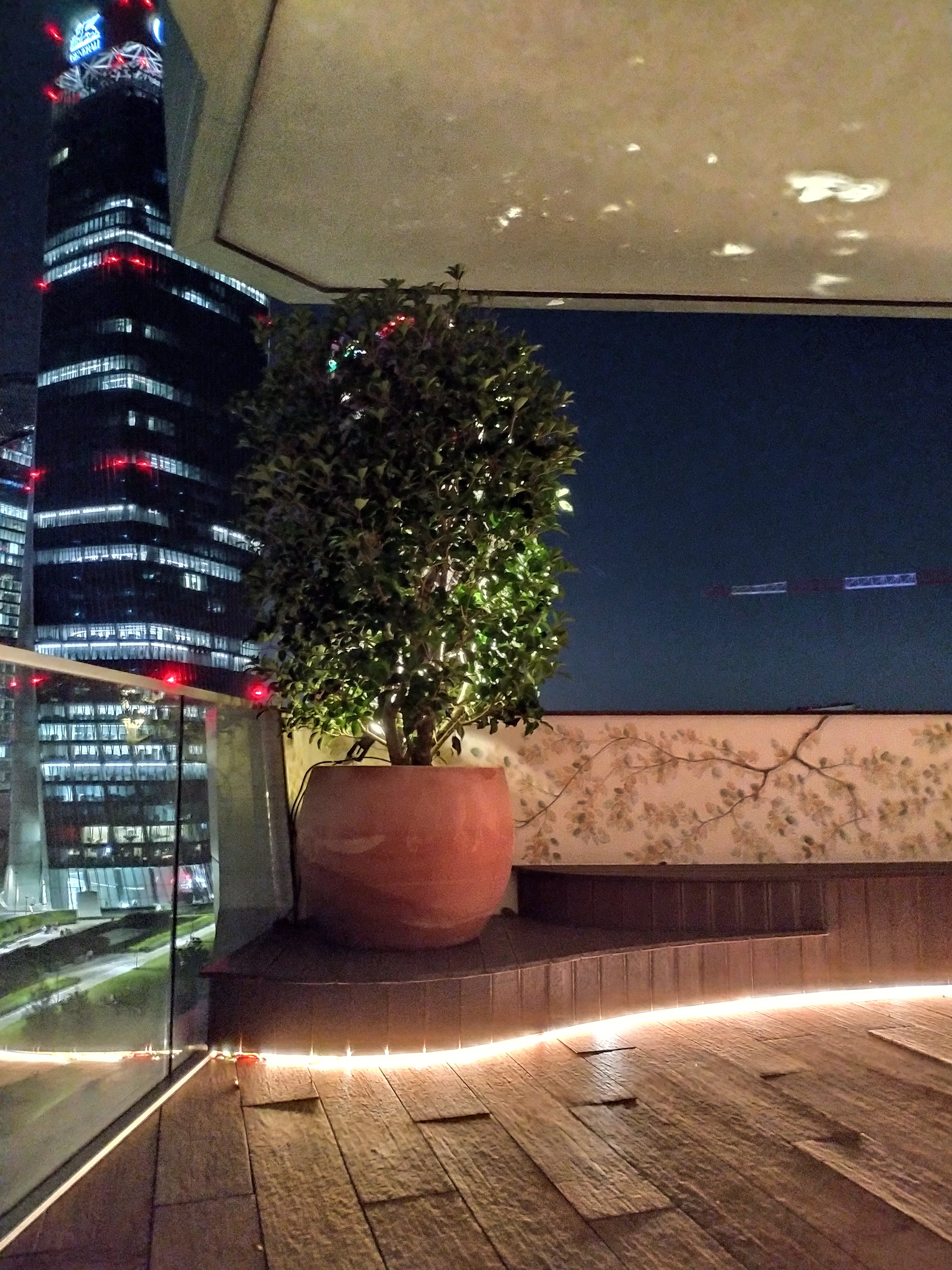 Uno scorcio su City Life-11