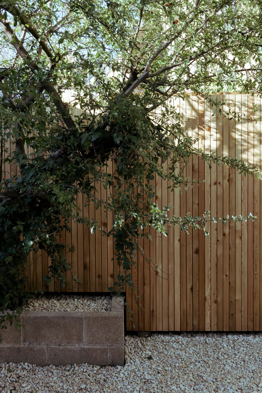 十九世纪维多利亚式排屋后花园改造丨英国伦敦-15