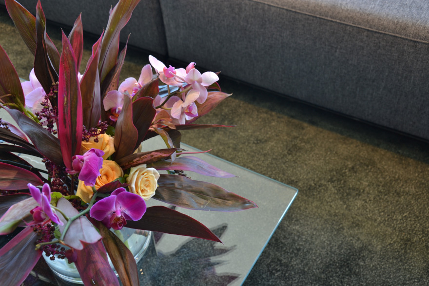 里约科萨 2017-35