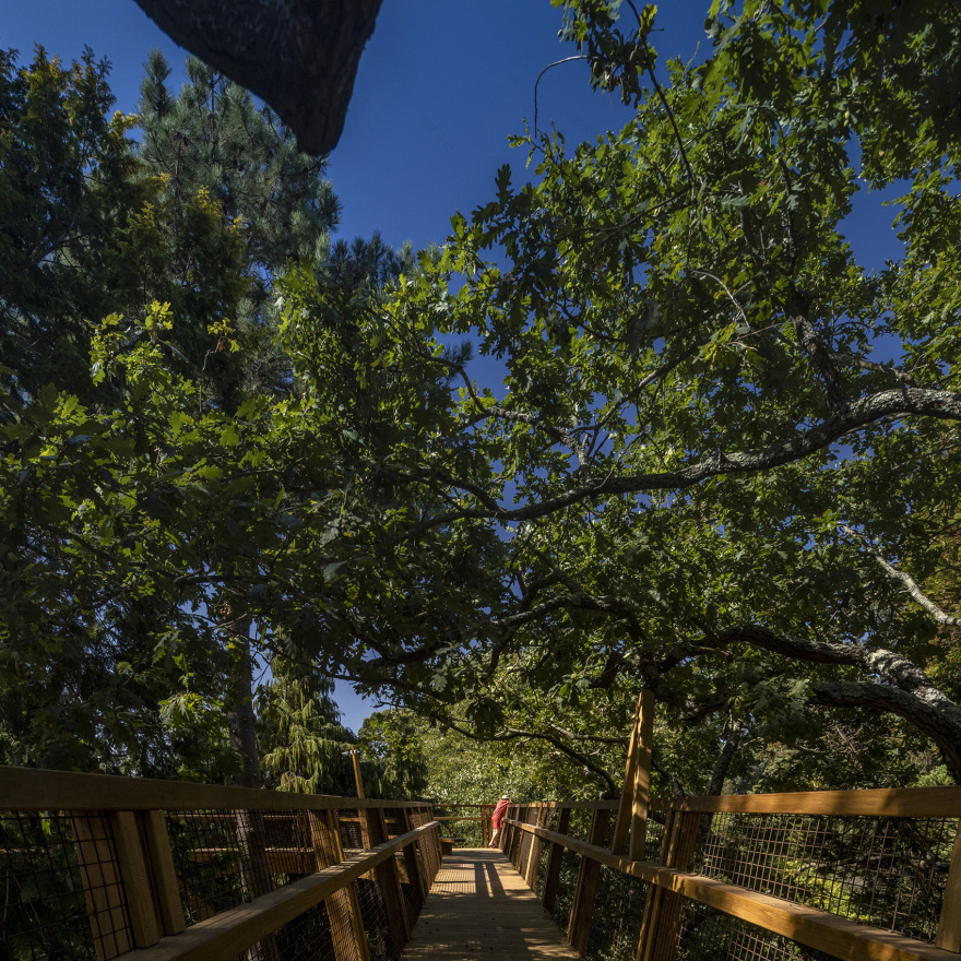 赛拉维斯公园树冠步道丨葡萄牙波尔图丨卡洛斯·卡斯塔涅拉建筑事务所-65
