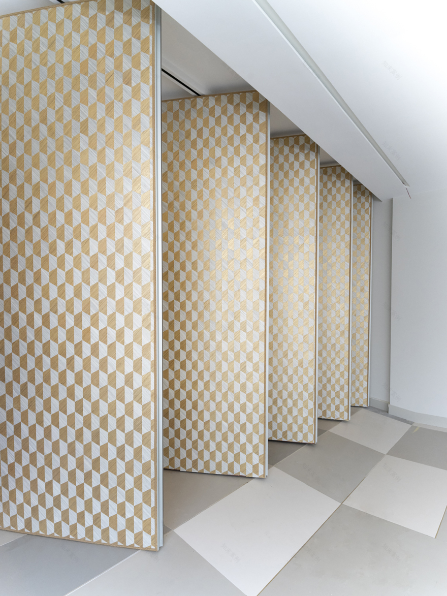 Villa Sassi 别墅室内设计-16