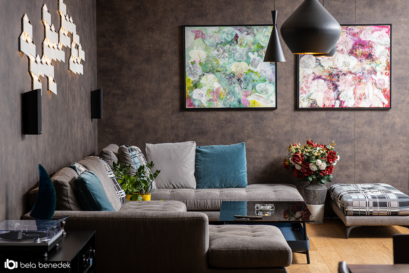 Stefan Vlad丨别墅建筑丨House X-46