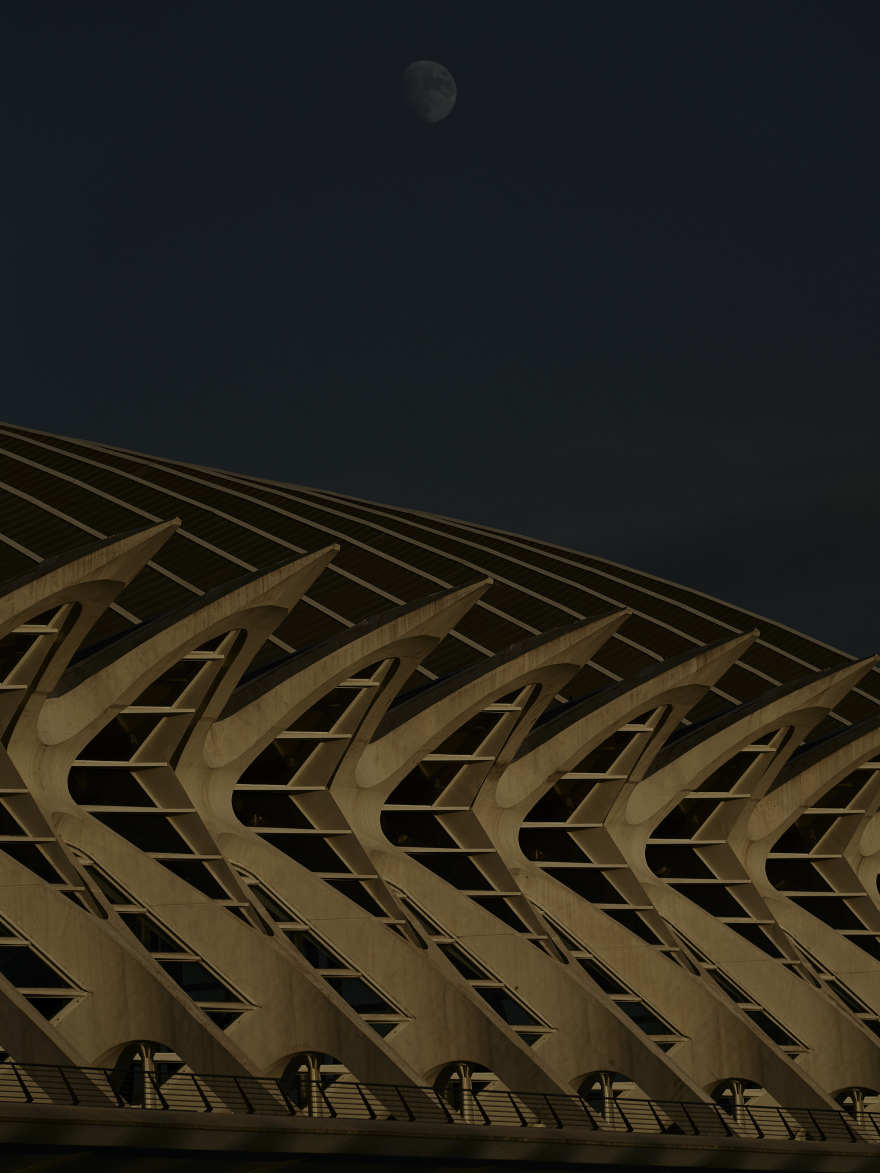 迷幻海洋之旅 | 探寻原始恐惧与生命本质-13