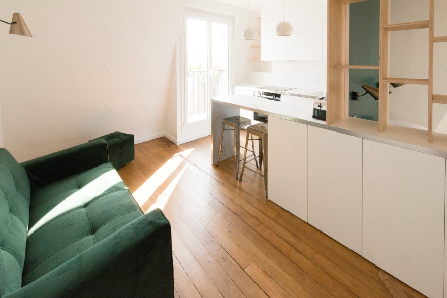 巴黎顶层公寓的开放式设计-6