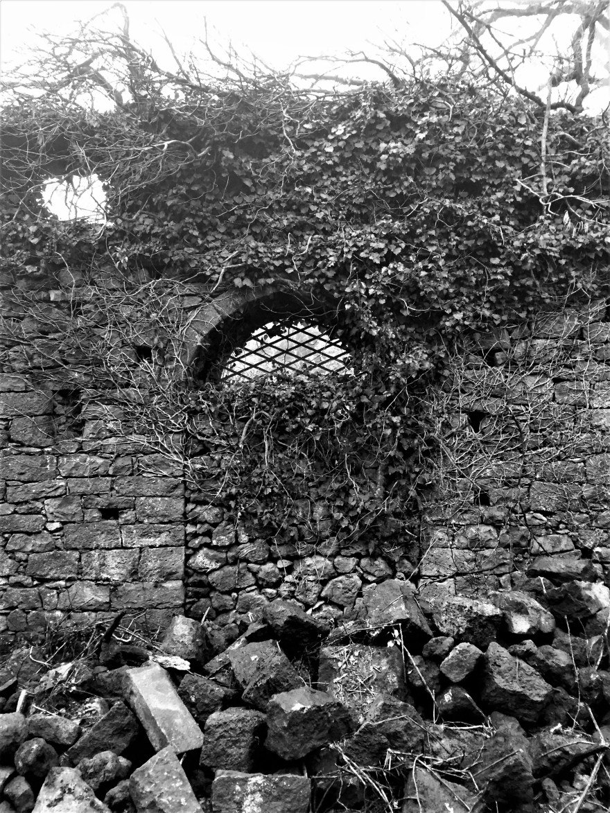 废弃酒庄重焕新生 · Etna 公园中的探险基地-27