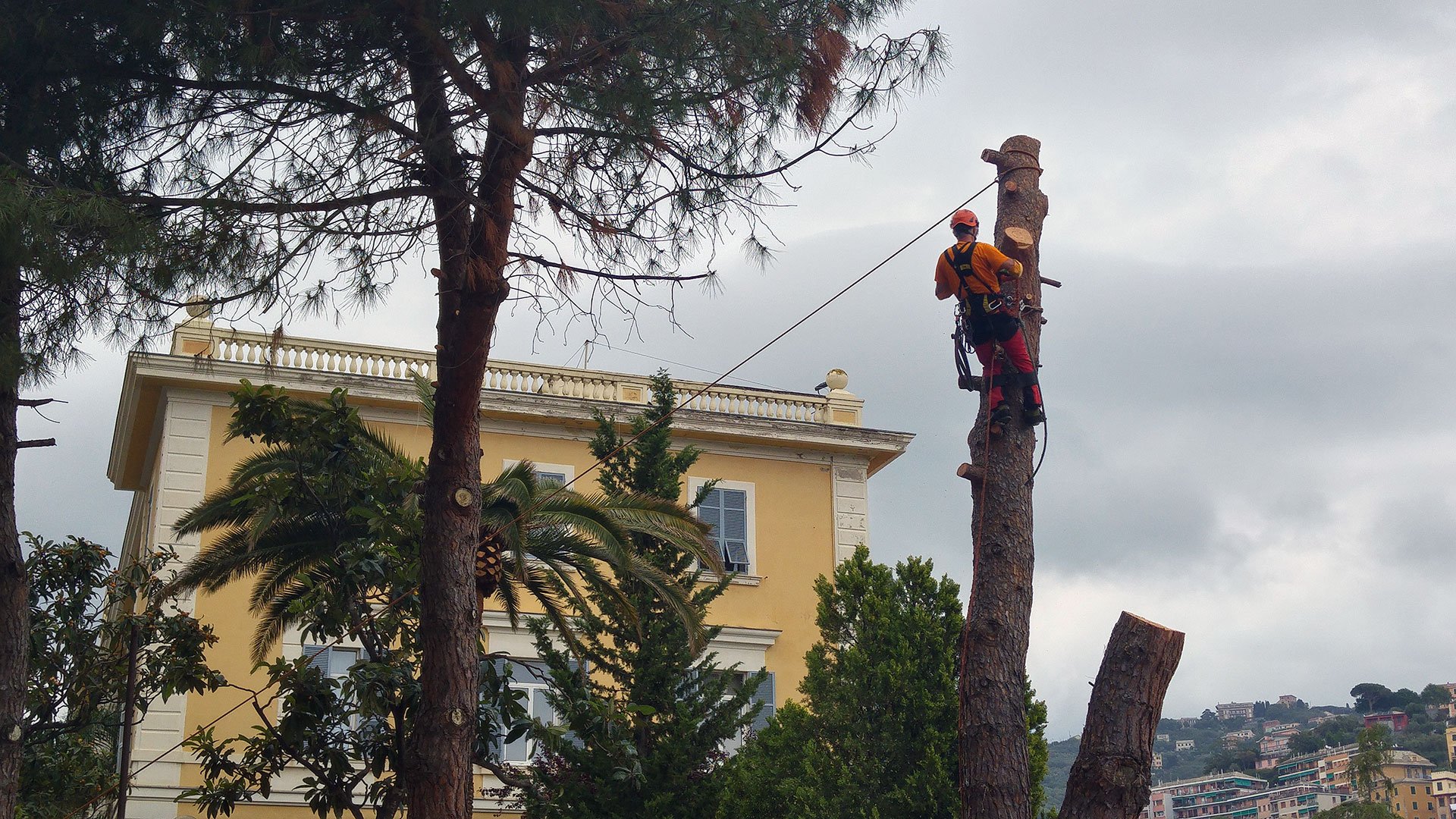 Asilo nido, Genova (2018-2019)-46