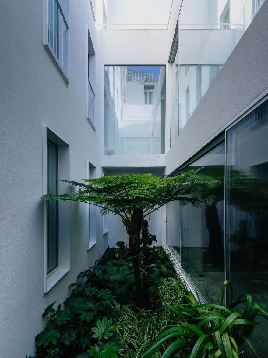 双层生活,花园与景观兼得-11