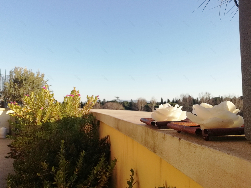 20 年代建筑的现代重生 | 扩宽视野,提升生活品质-11