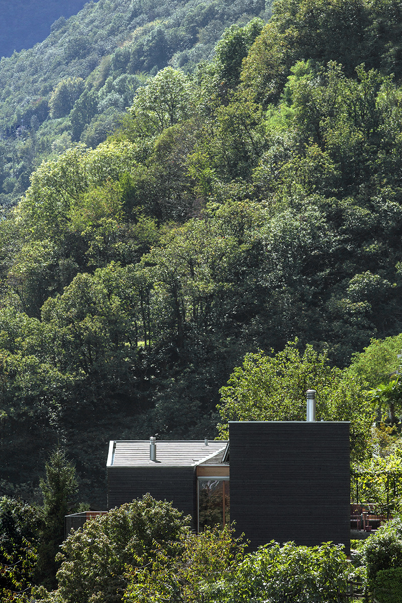 瑞士自然别墅,木质内外营造独特氛围-2