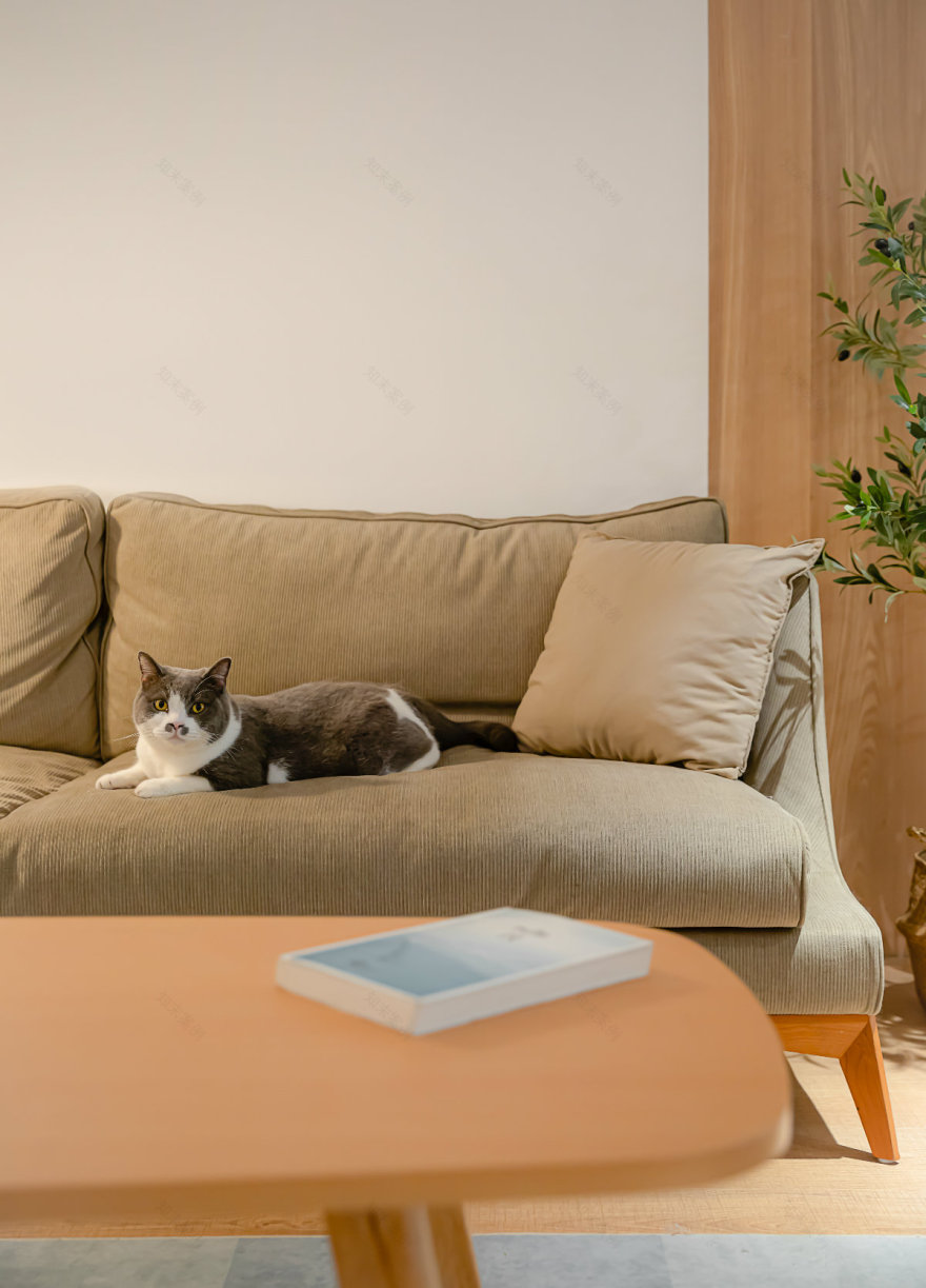 日式风格的两人两猫,loft公寓设计-25