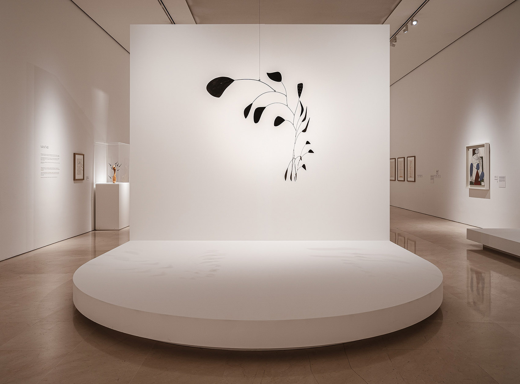 考尔德—毕加索作品联展，西班牙/一场关于空间的创造性对话-30