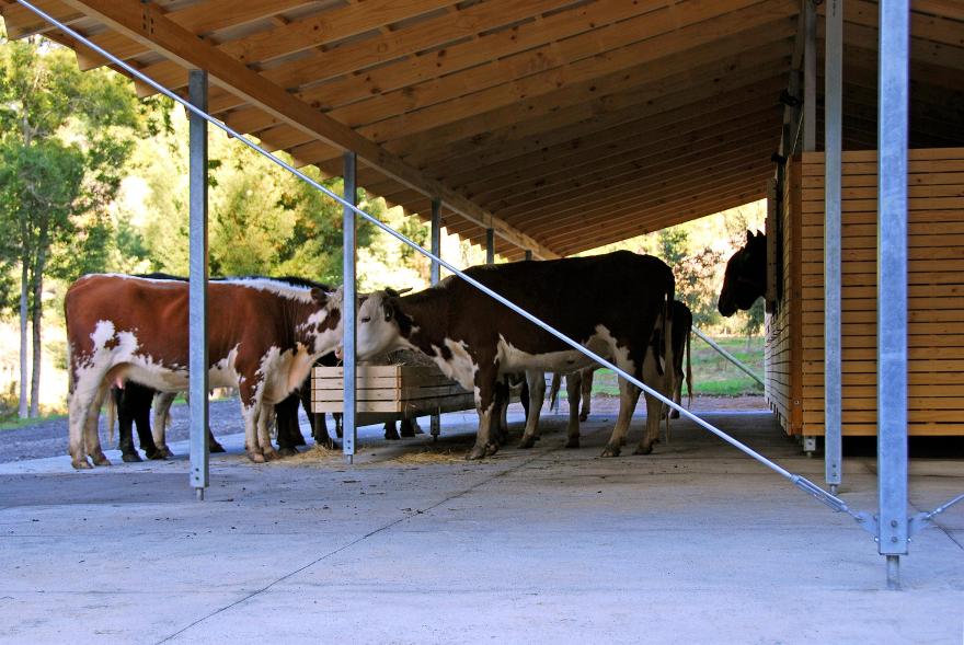 智能农舍 | 模块化设计与环保材料应用-8