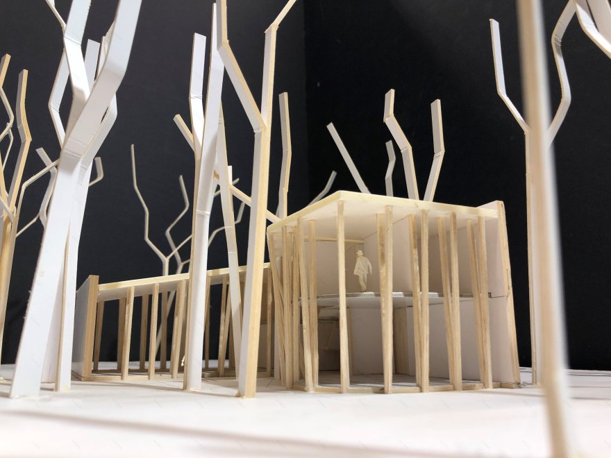 树巢别墅(Nest Villa)-5