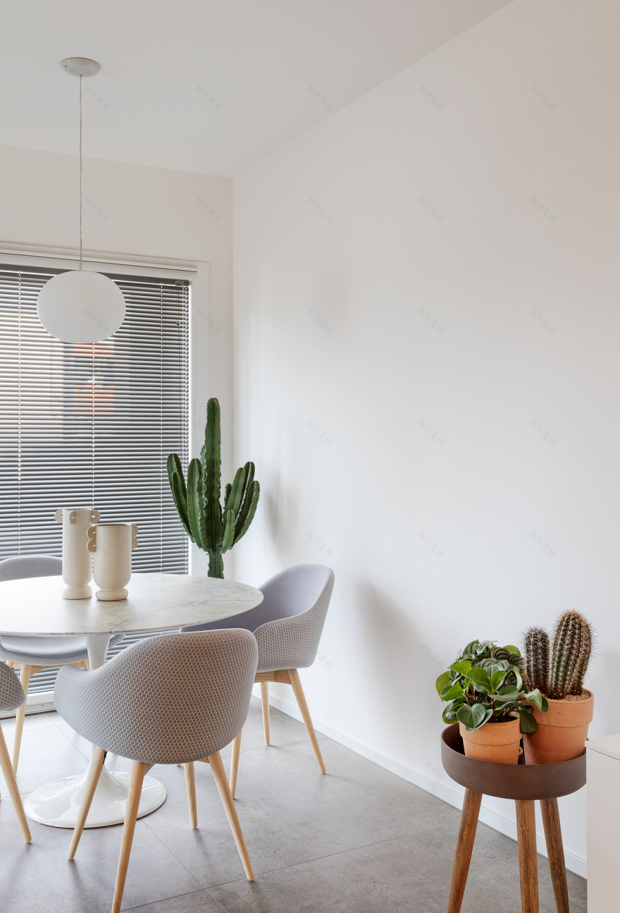 极简白色公寓,自然光线与设计完美融合-11