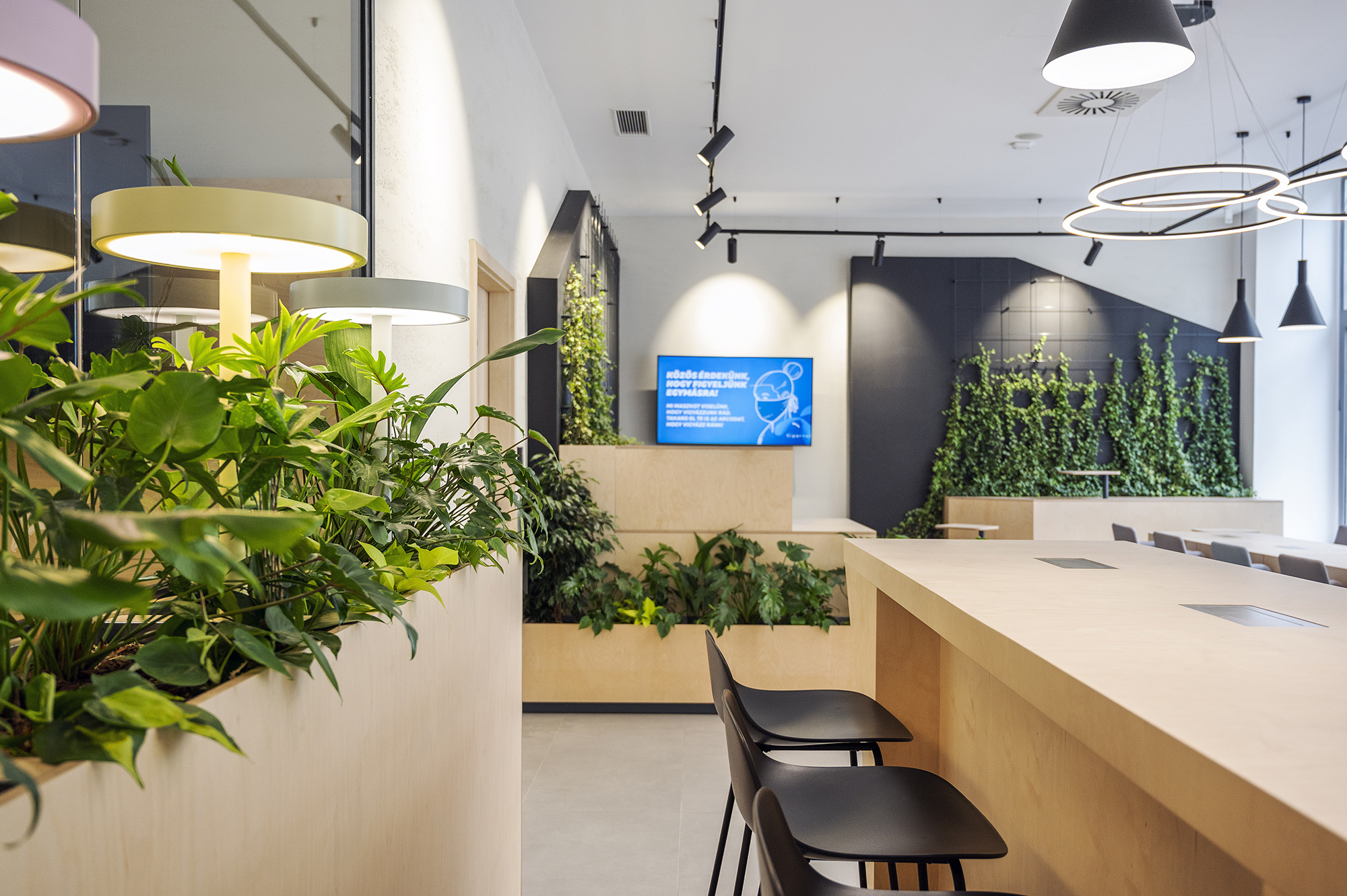 Telenor Budapest 旗舰店 | 温馨社区办公空间-2