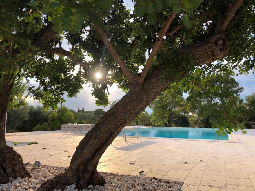 古堡庄园的现代复兴-45