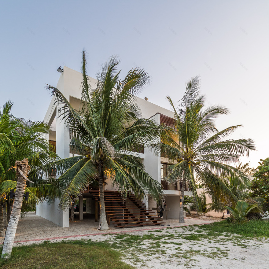 墨西哥海滨别墅 · 绿色与空间的完美融合-10