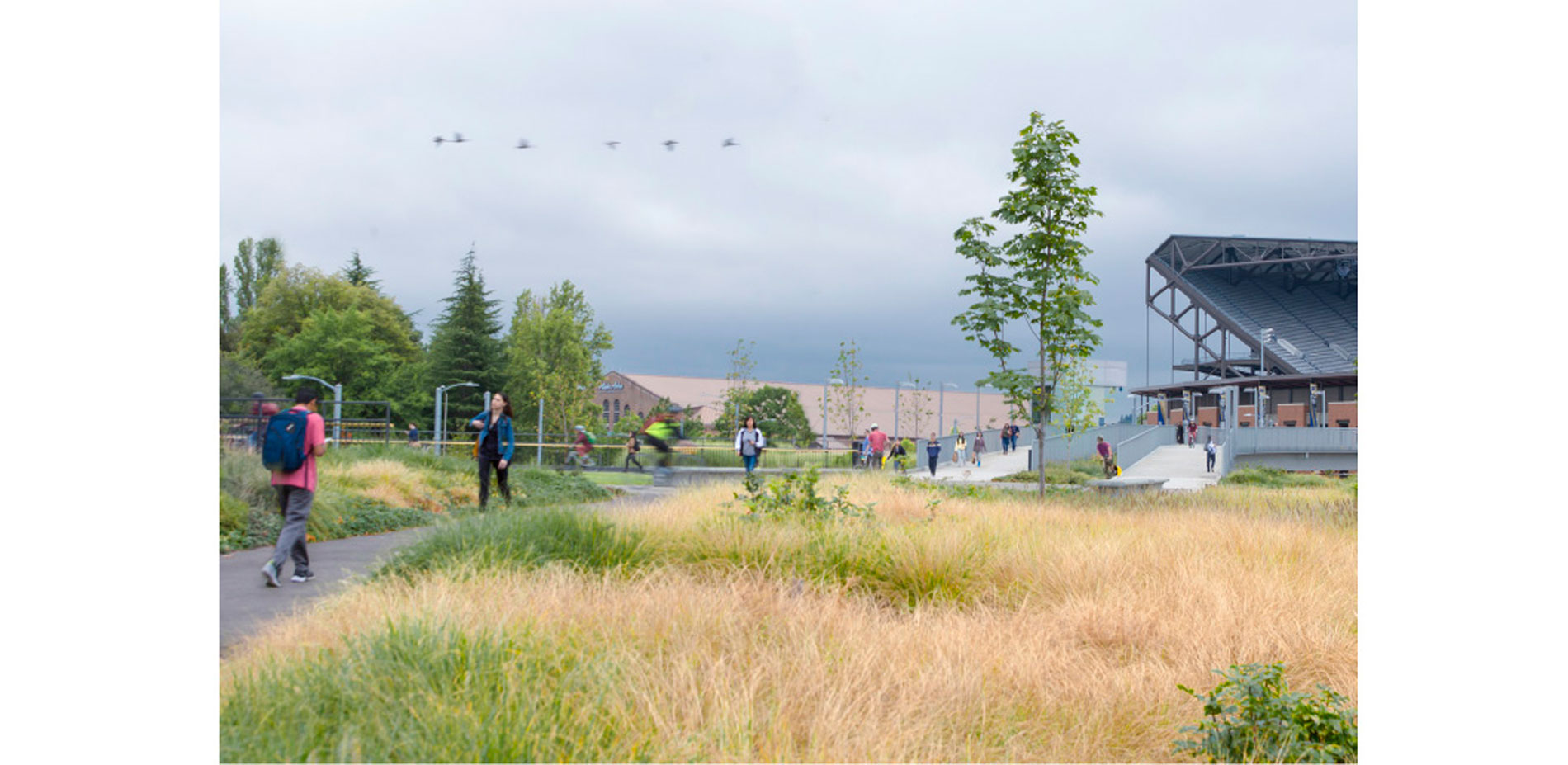 2019 ASLA通用设计类荣誉奖：下雷尼尔维斯塔和人行陆桥，美国西雅图/在众多交通模式的交汇地带建立一条具有重要意义的校园轴线-63