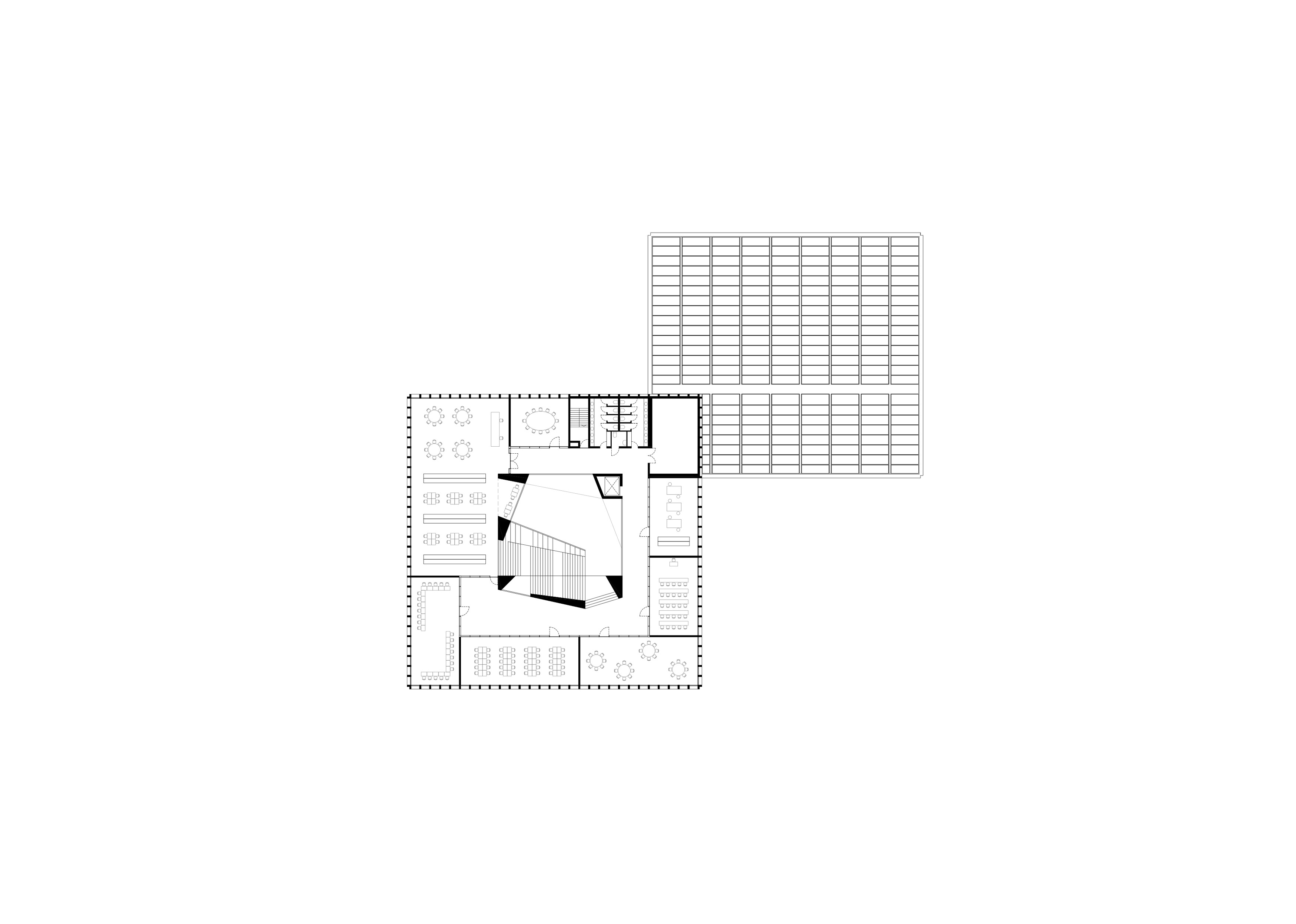 Carlo Rivi丨小学丨New Primary School-3