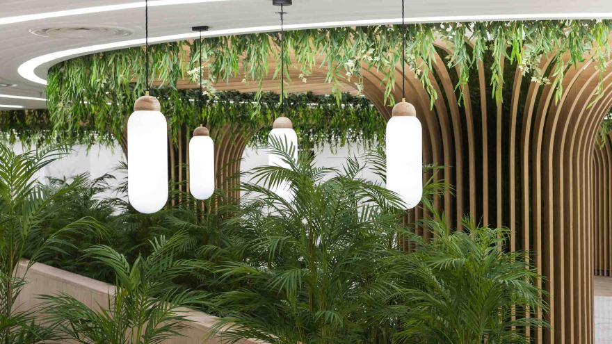 扎伊迪购物中心-0