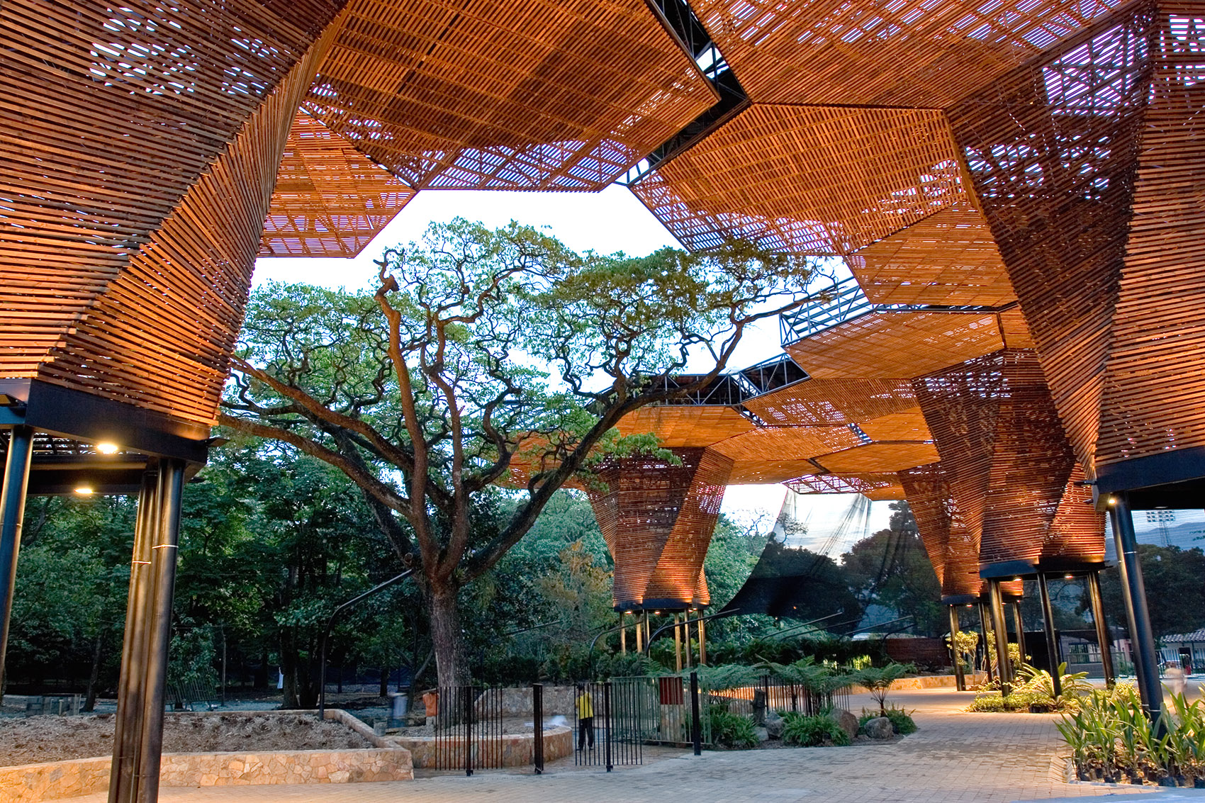 Orquideorama展亭，哥伦比亚/灵活延展的六边形-11
