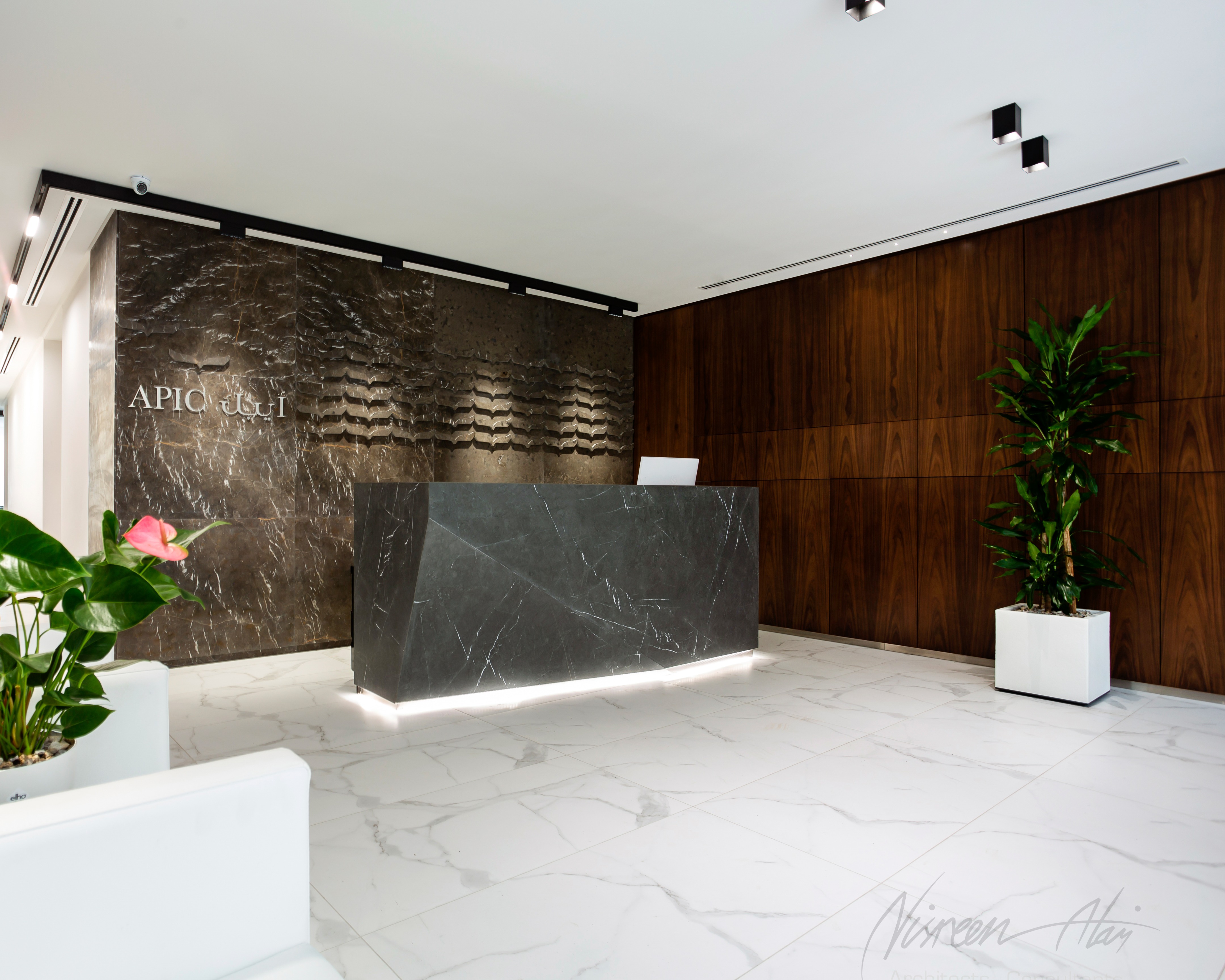 阿拉伯巴勒斯坦投资公司(APIC)-19