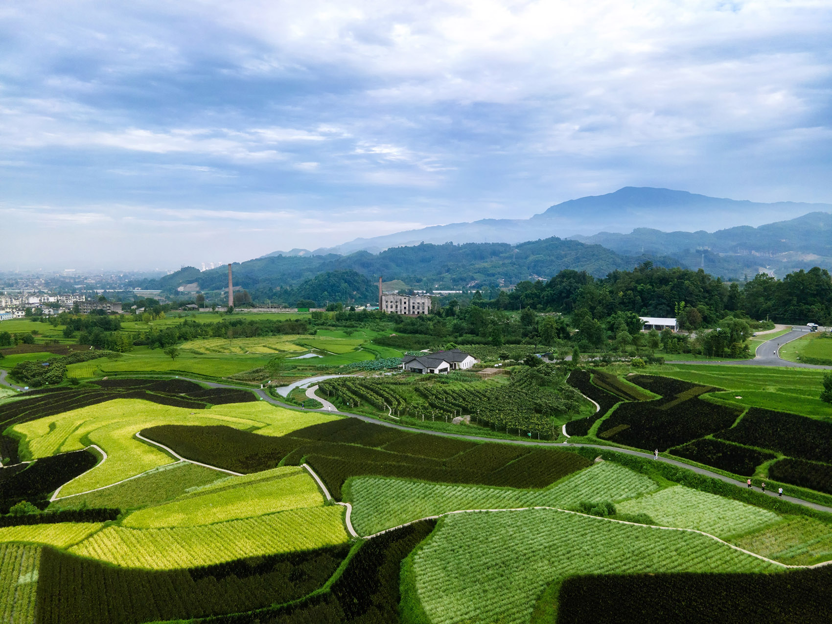 峨眉·高桥小镇，四川/植根大地的恋歌-39