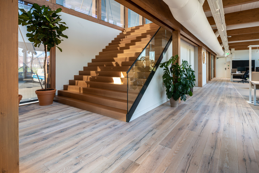 CO2 中性红橡木地板打造完美办公空间-6