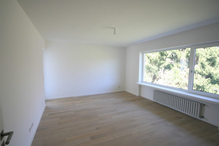 三天打造惊艳上市之“观景屋”-24