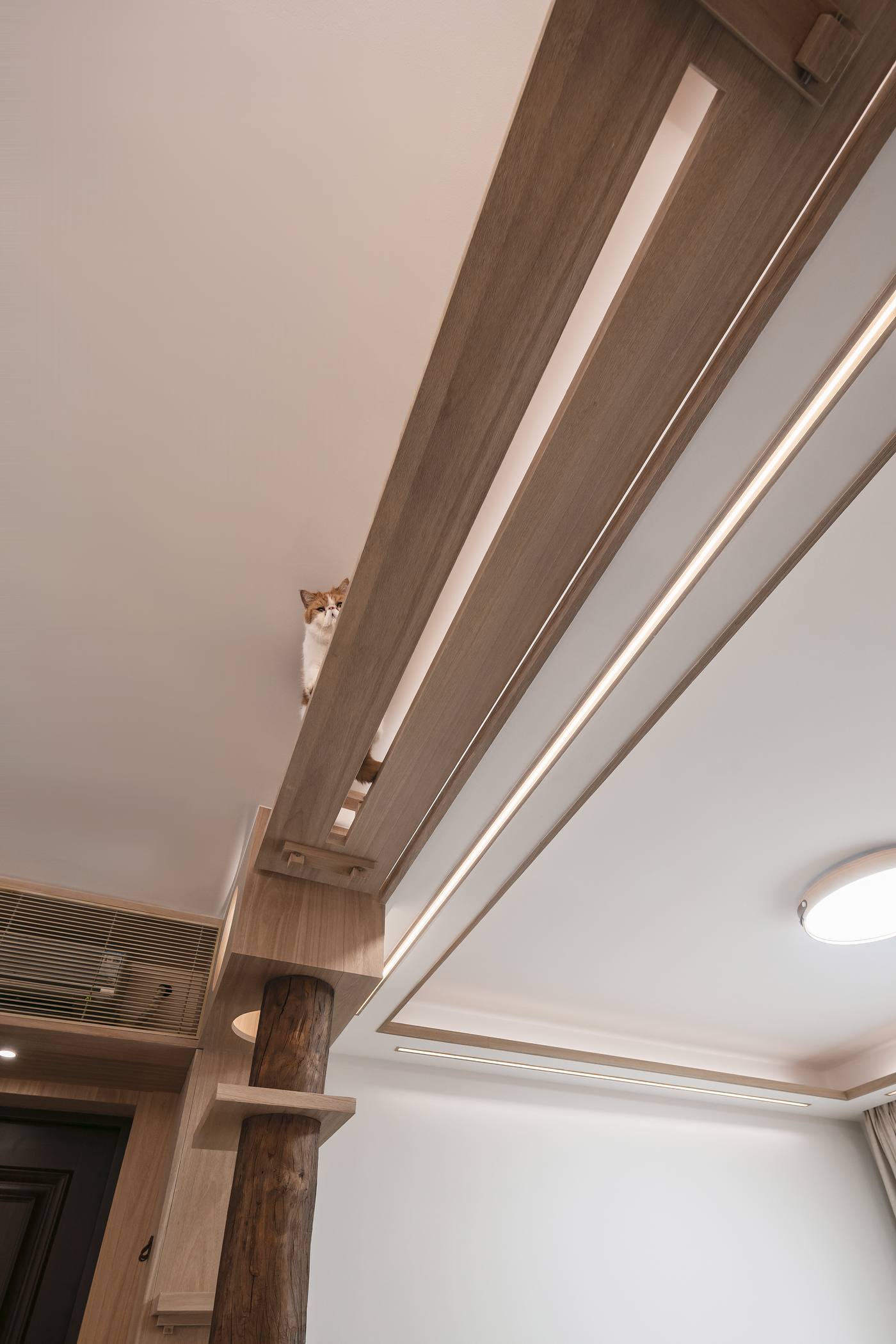 学林雅院 | 目申设计-7