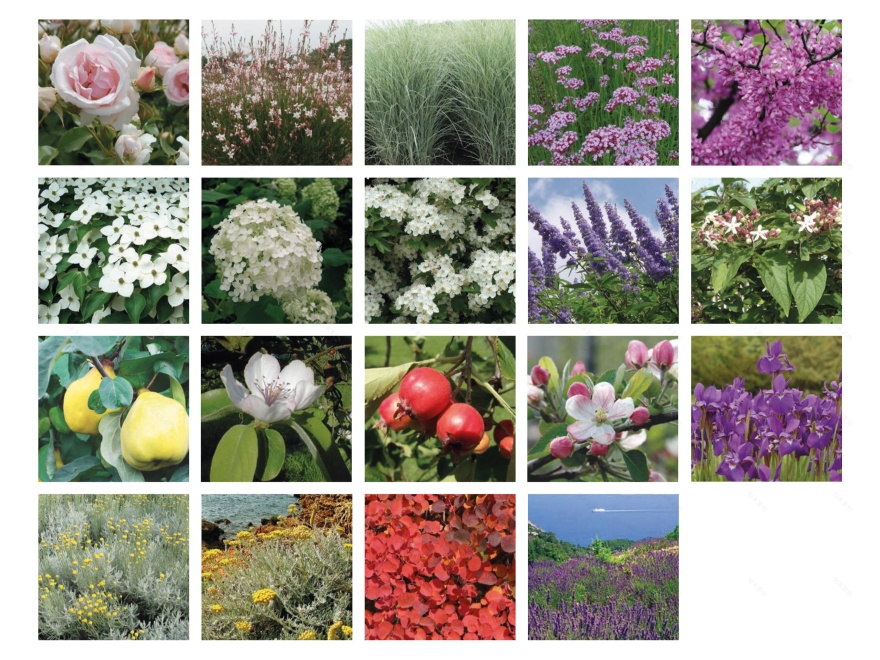 重塑戈里齐亚城堡村-10